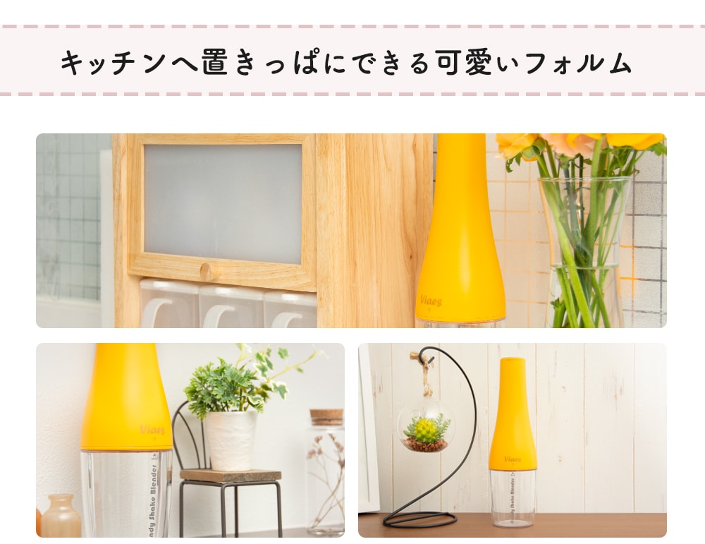 ビアエス ハンディシェイク スムージー